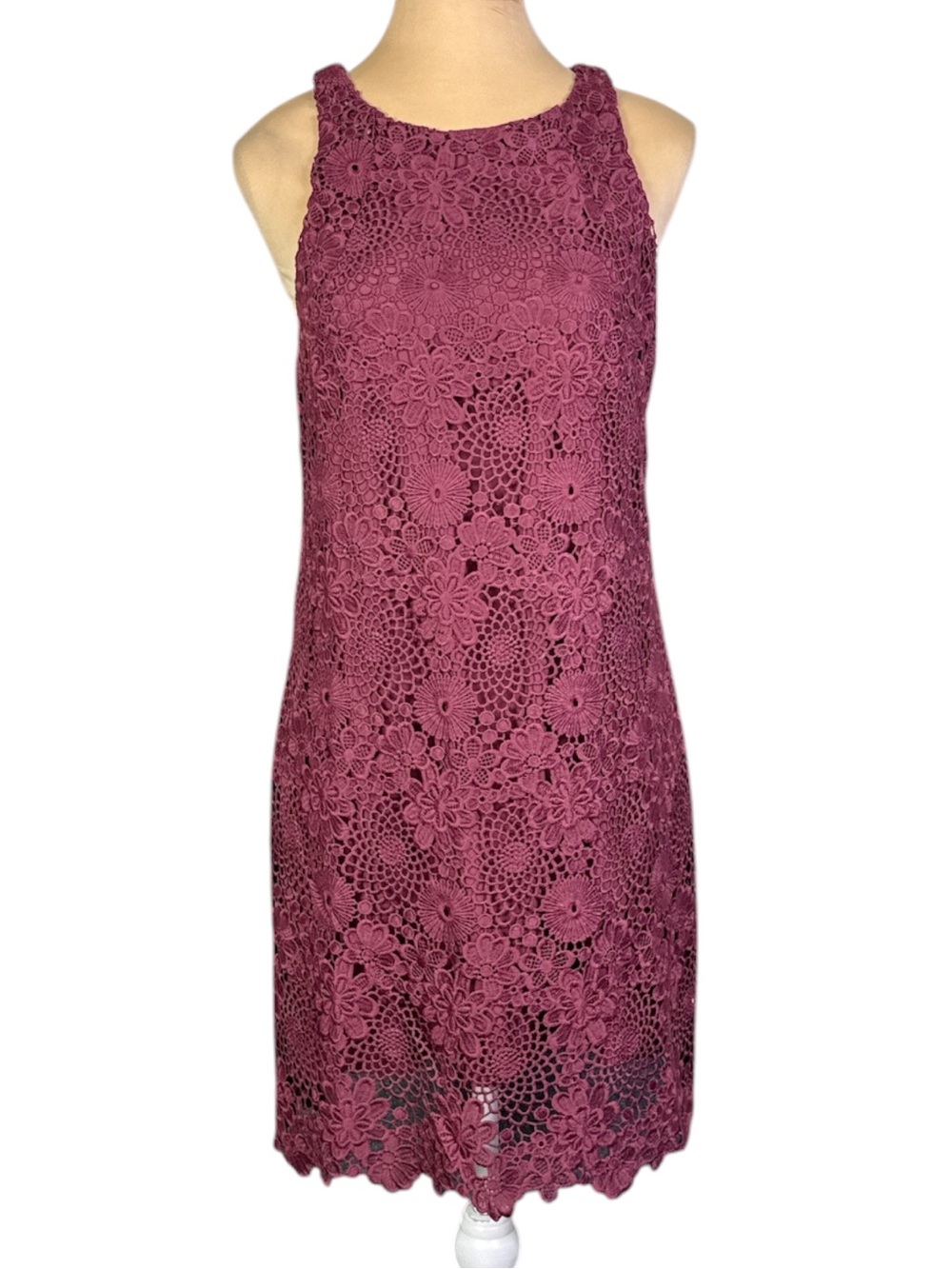 NWT WAYF Burgundy Floral Lace Cocktail Mini Dress Scalloped Hem Size S